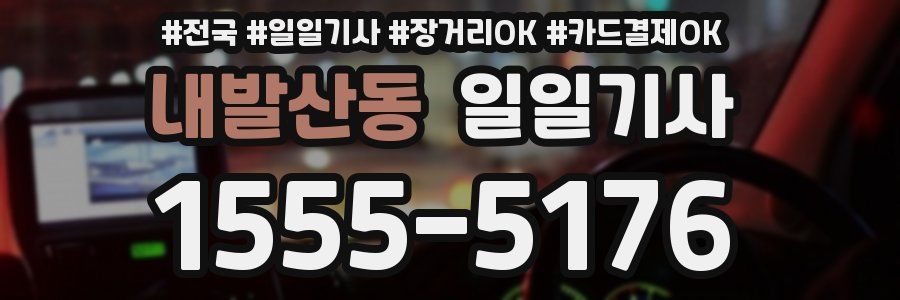 내발산동 일일기사