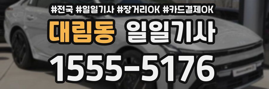 대림동 일일기사