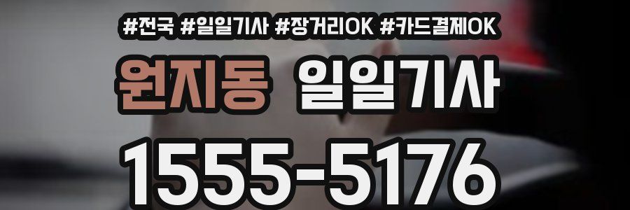 원지동 일일기사