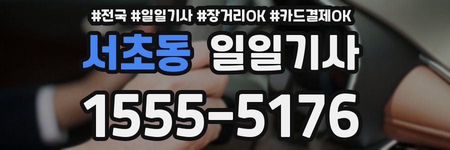 서초동 일일기사