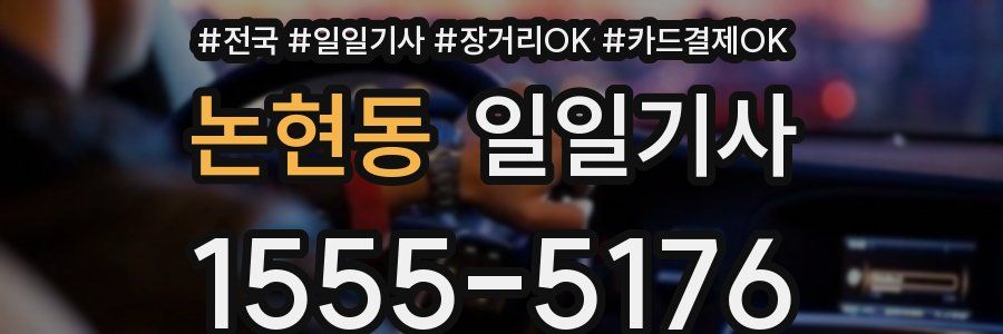 논현동 일일기사