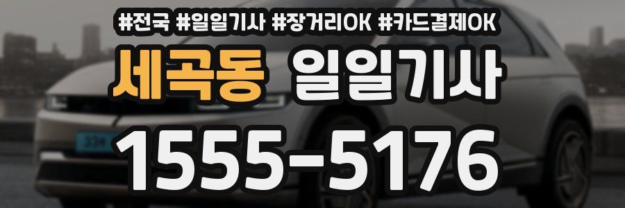 세곡동 일일기사