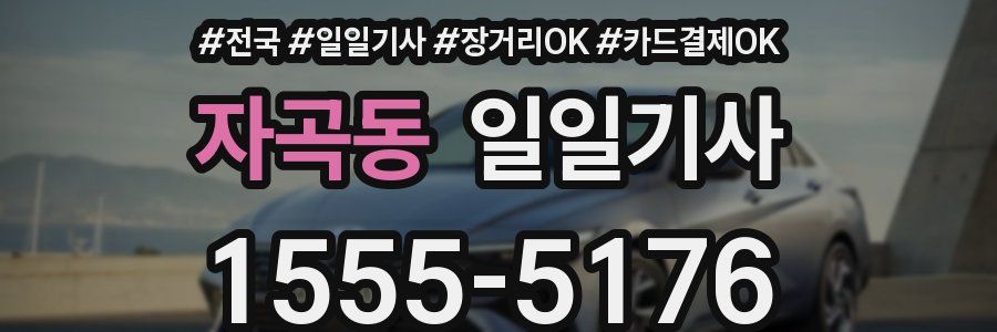 자곡동 일일기사