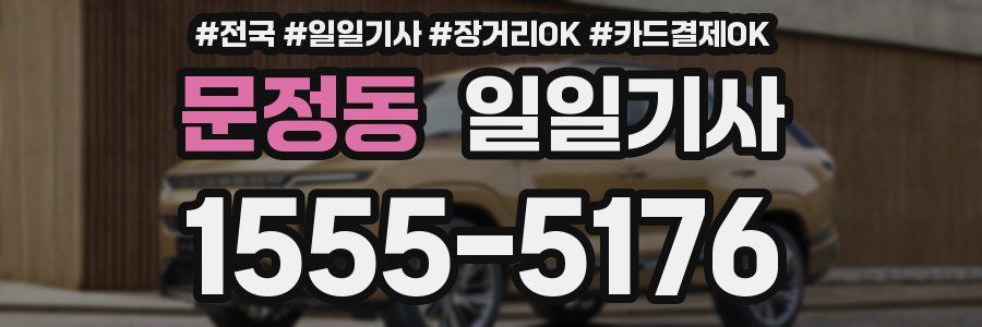 문정동 일일기사