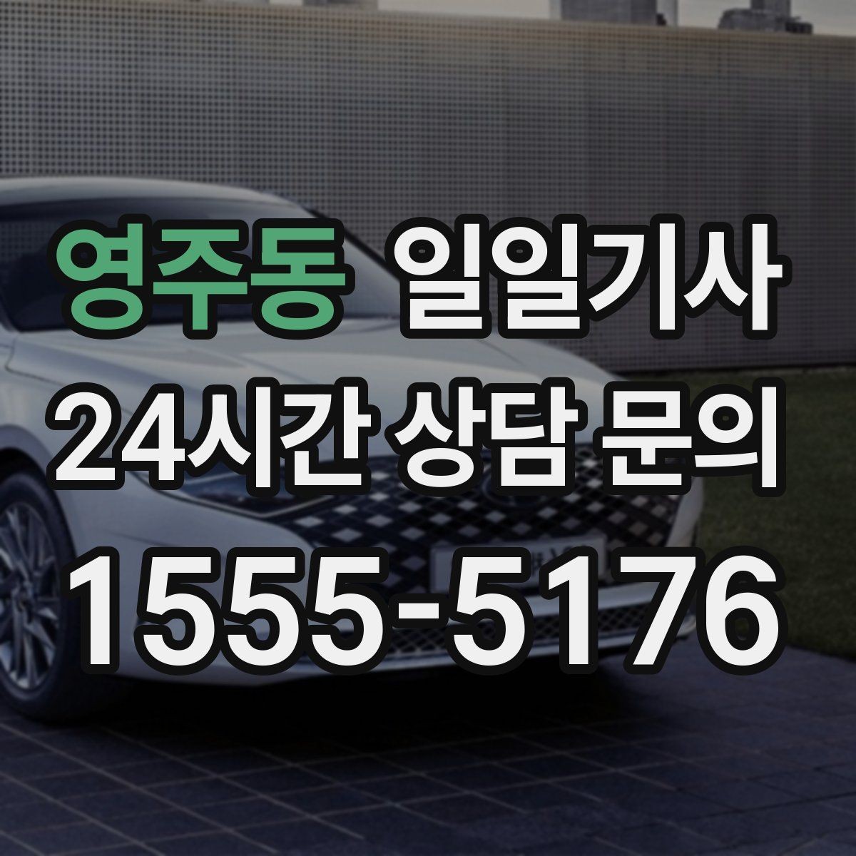 영주동 일일기사 영업 동선 효율 강화