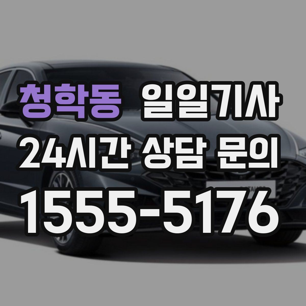 청학동 일일기사 공항과 미팅을 한 노선에 담는 하루