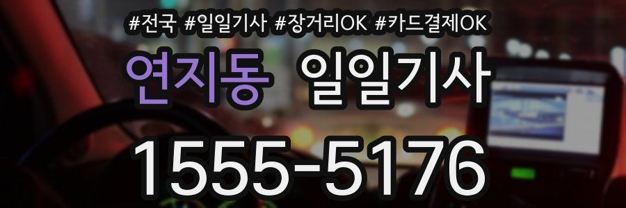 연지동 일일기사