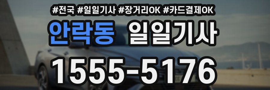 안락동 일일기사