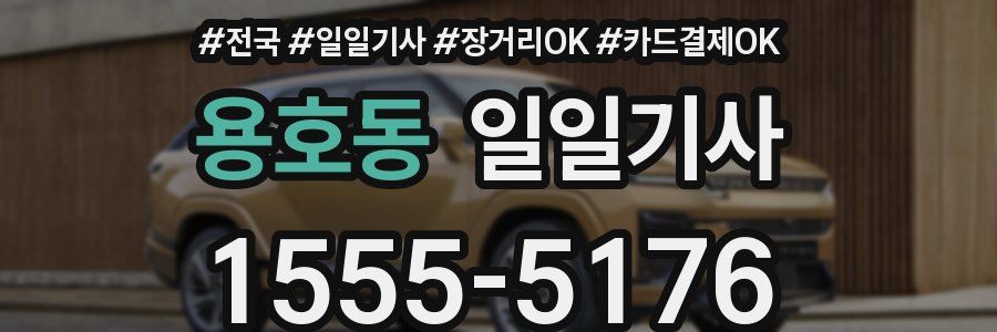 용호동 일일기사