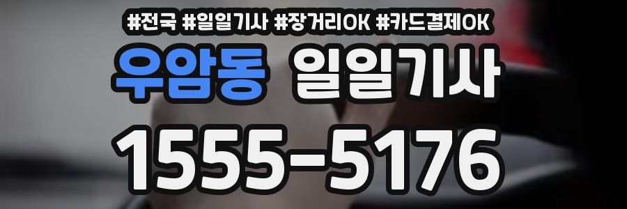 우암동 일일기사