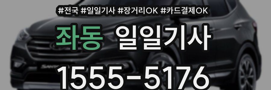 좌동 일일기사