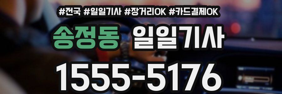 송정동 일일기사