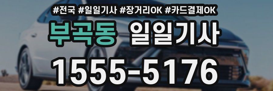 부곡동 일일기사