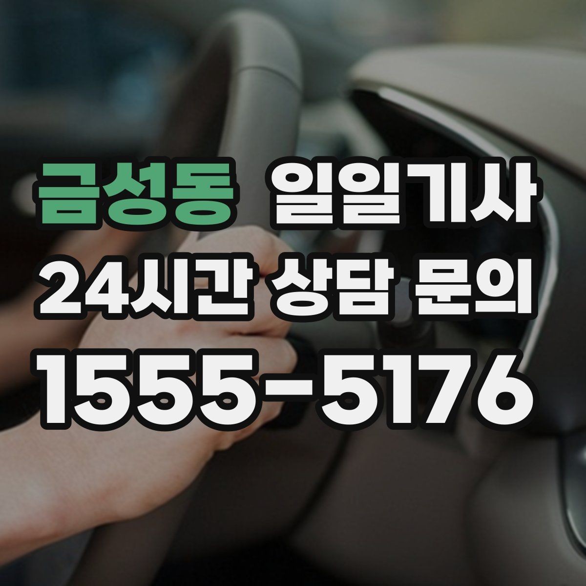 금성동 일일기사 행사 동행과 주차 지원