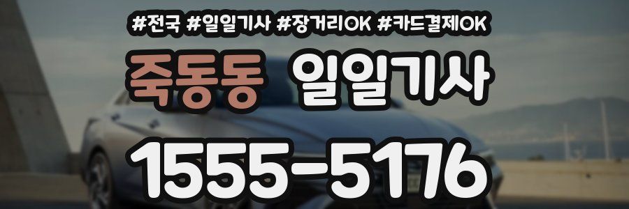 죽동동 일일기사