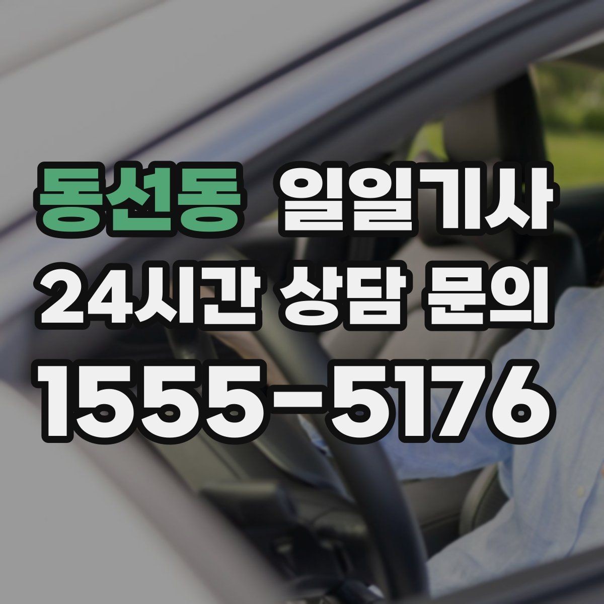 동선동 일일기사 같은 기사로 익숙함이 이어져요
