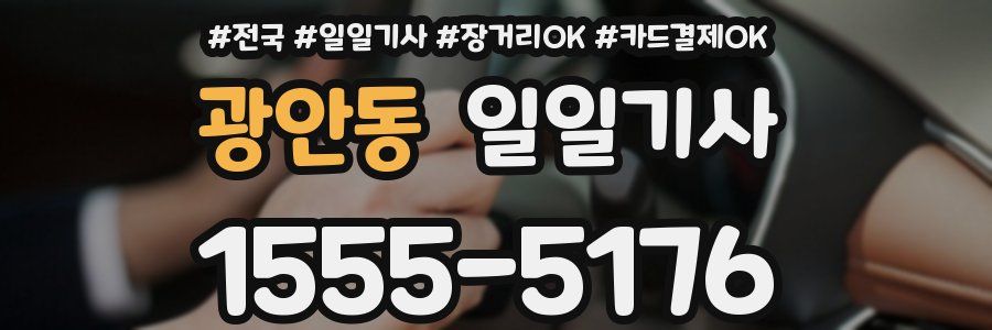 광안동 일일기사