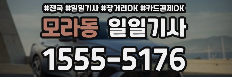 모라동 일일기사