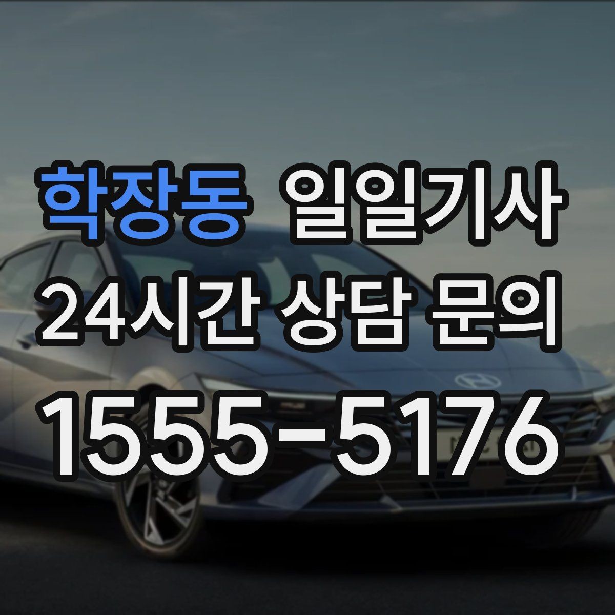 학장동 일일기사 손님 영접 배웅 품격 동행