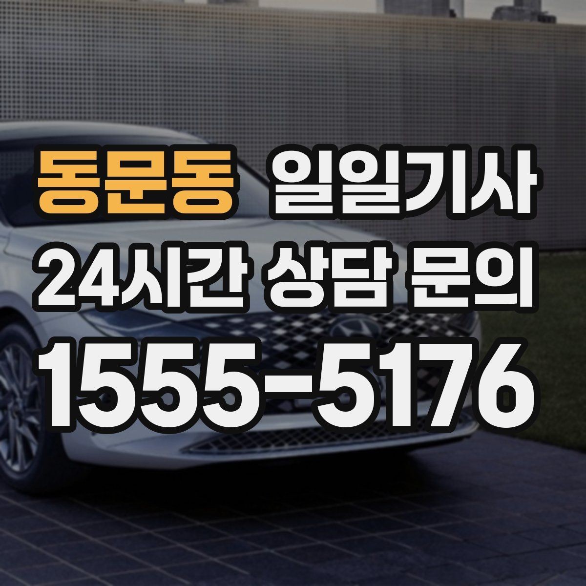 동문동 일일기사 반일 동행으로 여유를 더하는 날