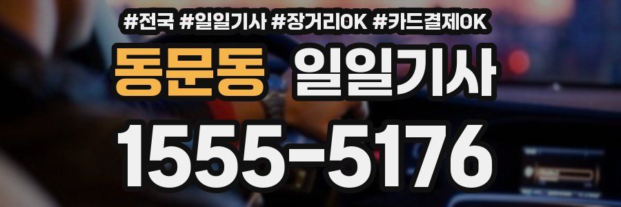 동문동 일일기사