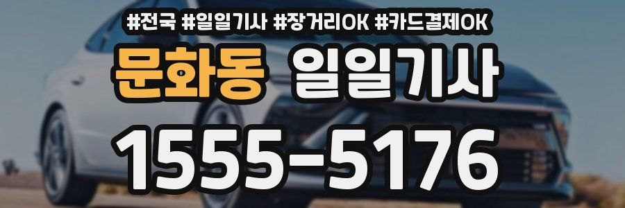 문화동 일일기사