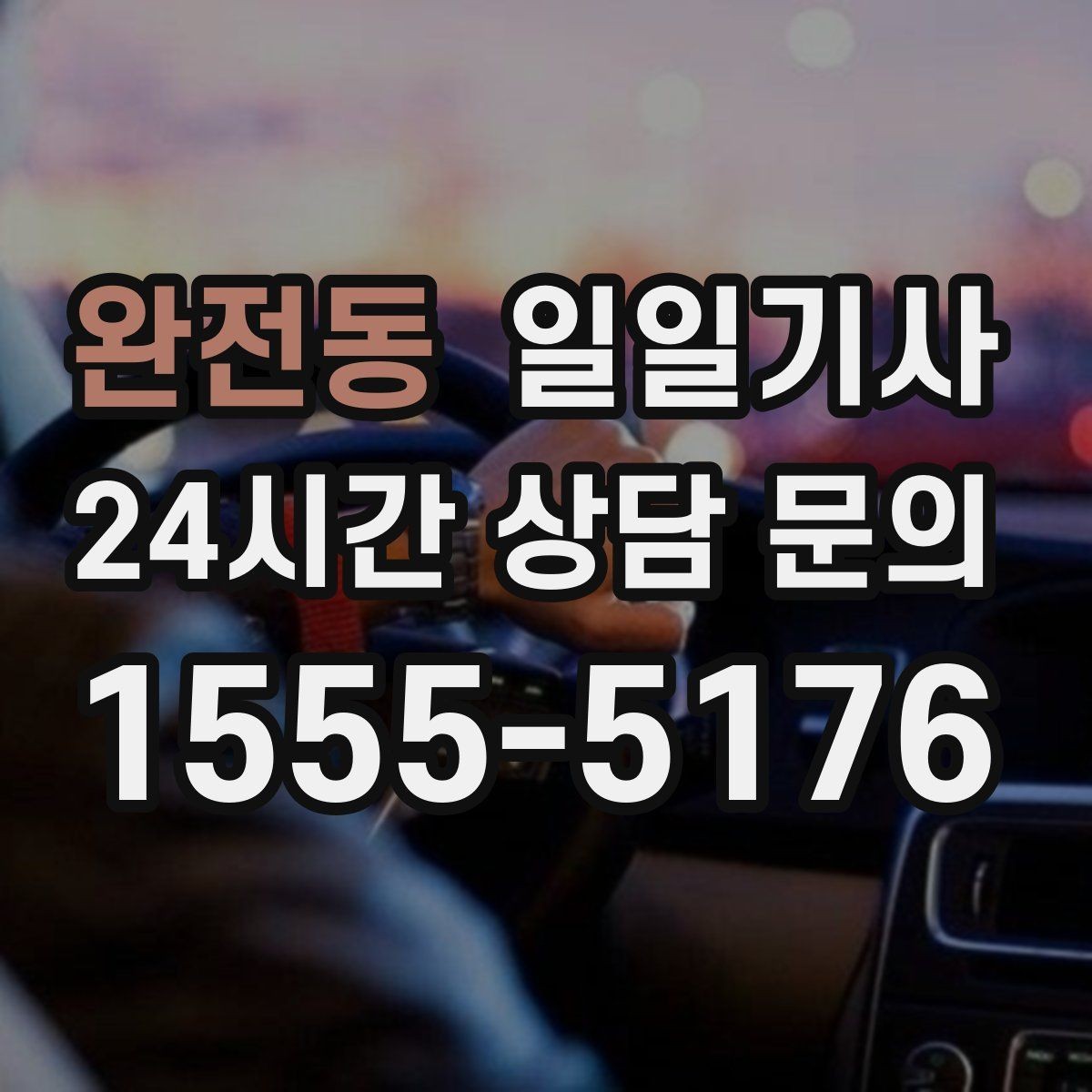 완전동 일일기사 통화가 잦은 일정에도 안전이 먼저