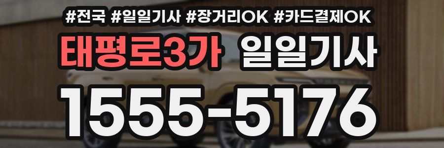 태평로3가 일일기사