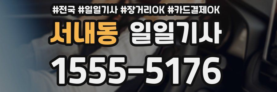 서내동 일일기사