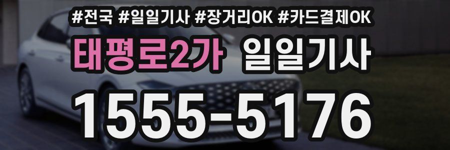 태평로2가 일일기사