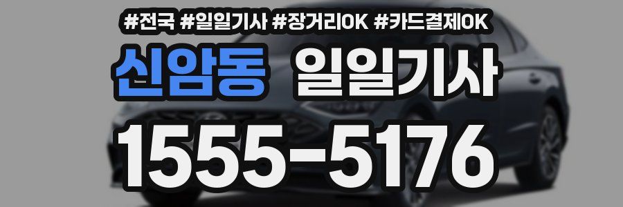 신암동 일일기사