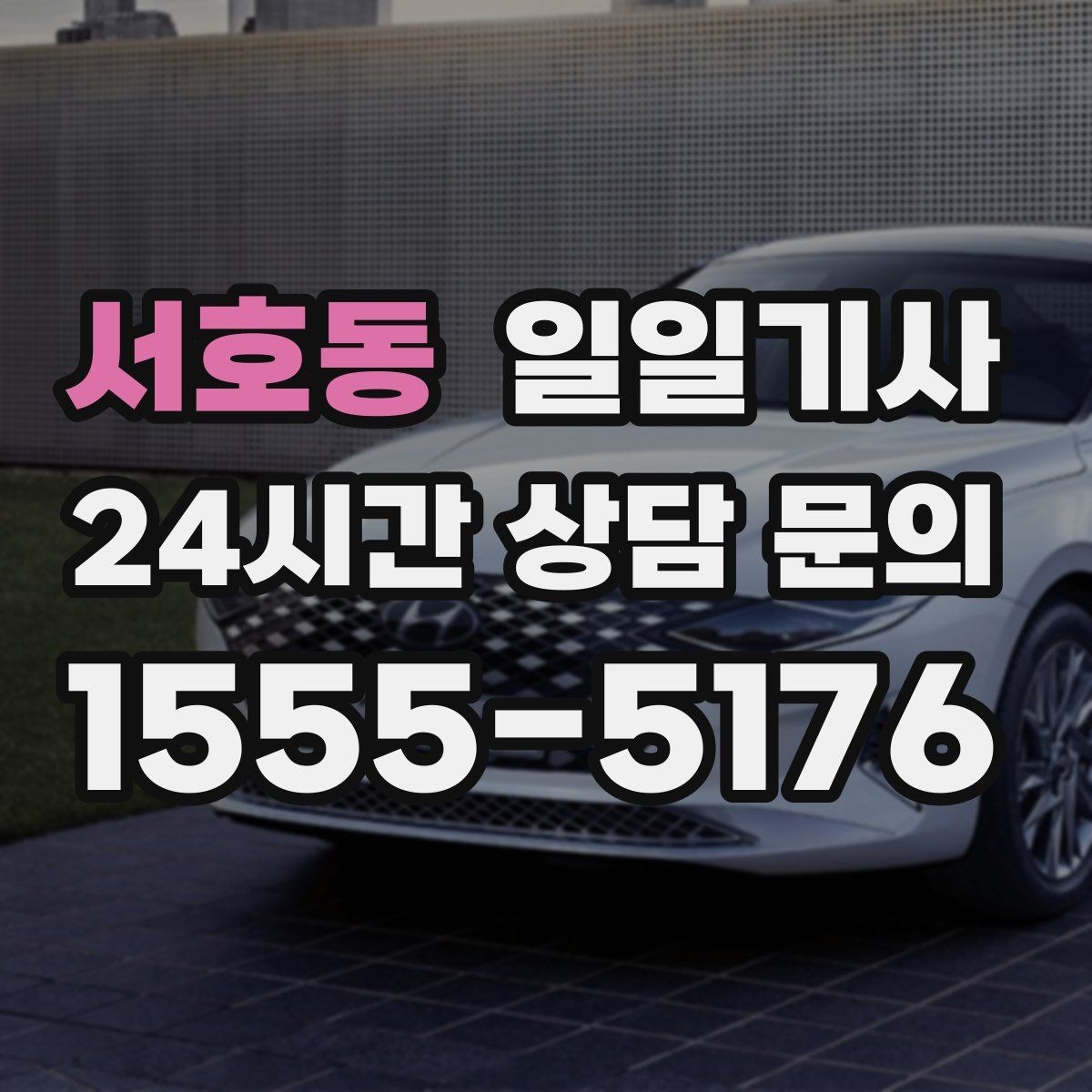 서호동 일일기사 반일 오전 일정 집중