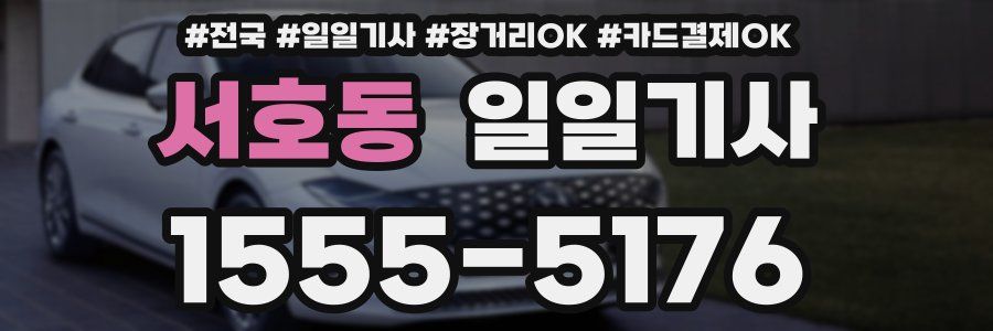 서호동 일일기사