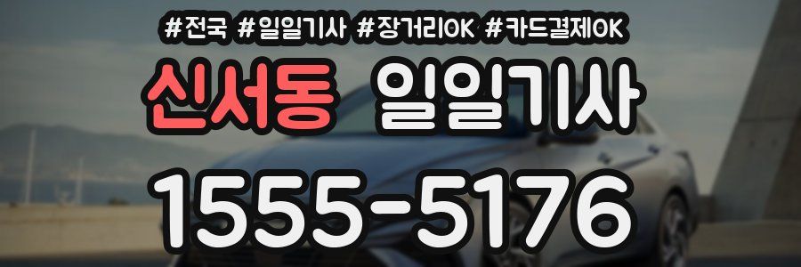 신서동 일일기사