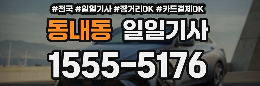 동내동 일일기사