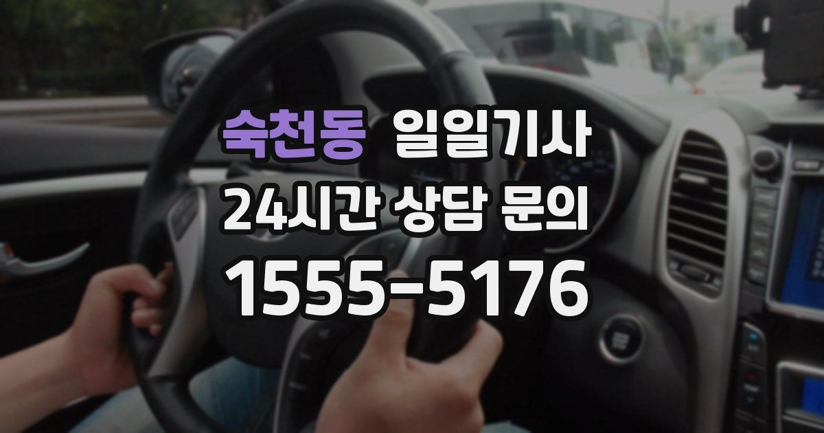 일일대리기사