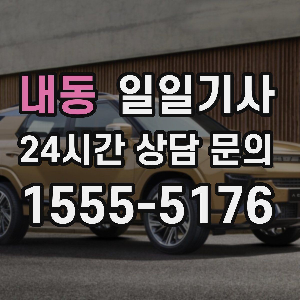 내동 일일기사 드라이빙 레인지 경유로 여유 업