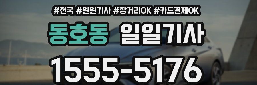 동호동 일일기사