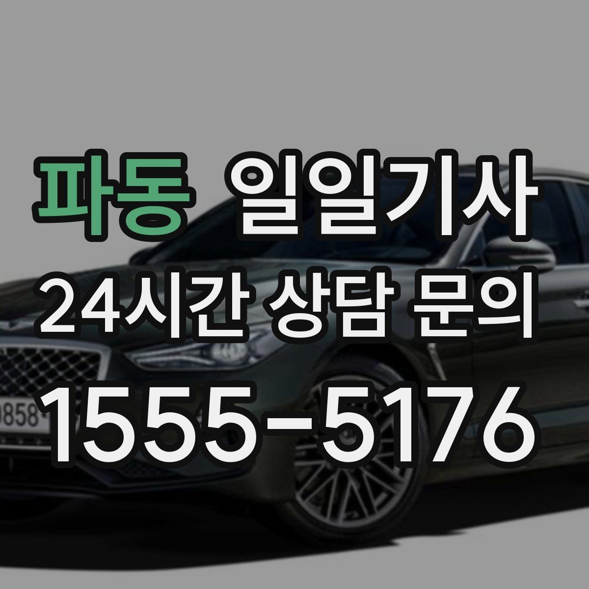 파동 일일기사 심야와 주말 상시 배차