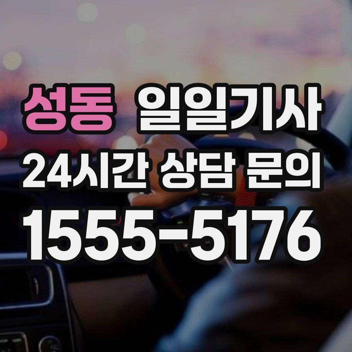 성동 일일기사 중요한 시간을 지켜 드리는 이동