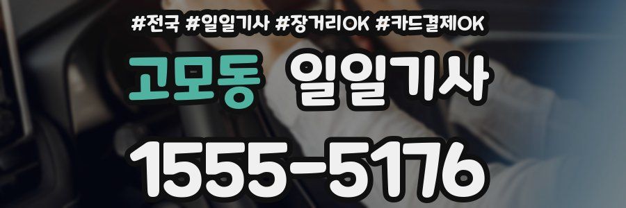 고모동 일일기사