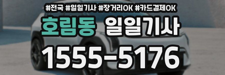 호림동 일일기사