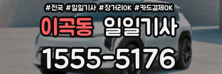 이곡동 일일기사