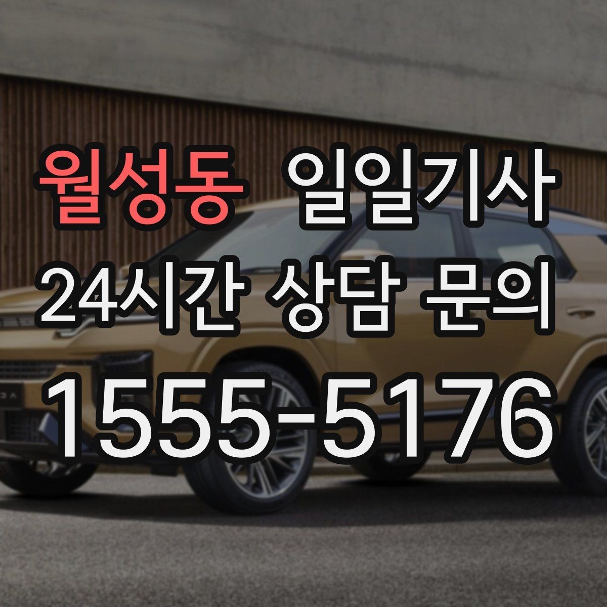 월성동 일일기사 내비 의존 넘어선 현장 감각
