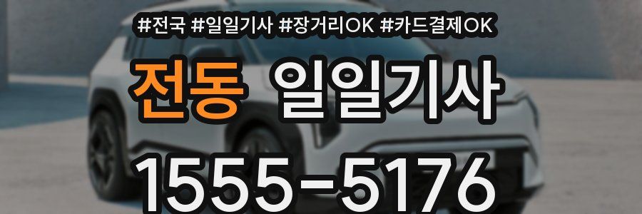 전동 일일기사