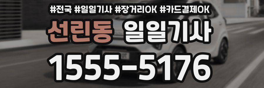 선린동 일일기사