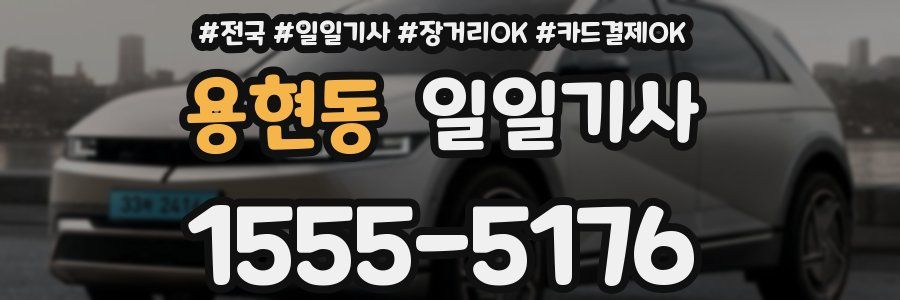 용현동 일일기사