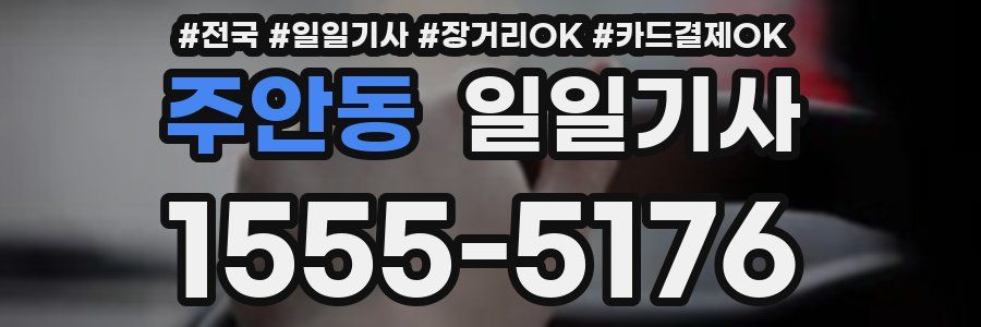 주안동 일일기사