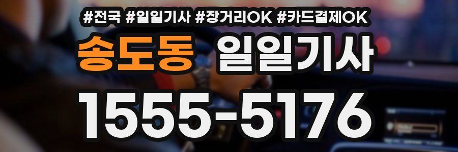 송도동 일일기사