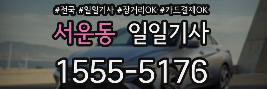 서운동 일일기사